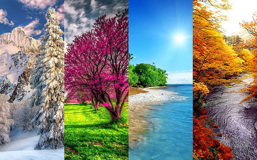 Traveling During Different Seasons and Weather Conditions