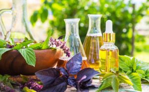 Natural Oils in Haircare and their Benefits