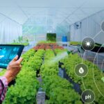 Revolutionizing Farming Through Technology with Precision Agriculture