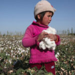 Child Labor in the Fashion Industry. A Deep-Seated Problem