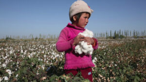 Child Labor in the Fashion Industry. A Deep-Seated Problem