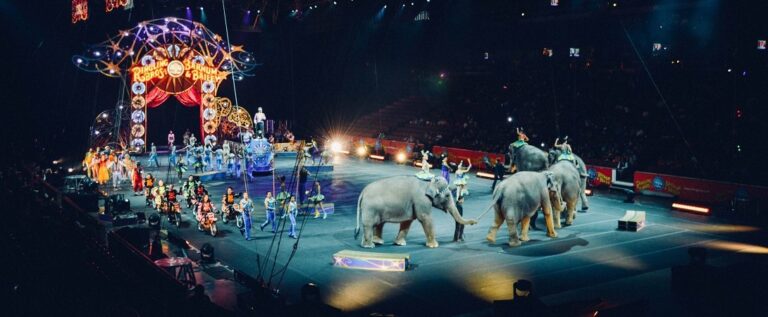 The Use Of Animals In Entertainment