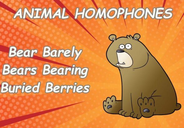 new animal homophone